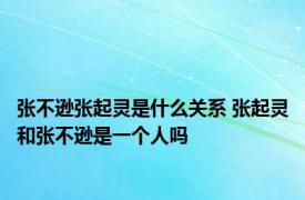 张不逊张起灵是什么关系 张起灵和张不逊是一个人吗