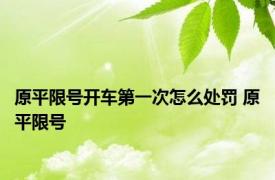 原平限号开车第一次怎么处罚 原平限号 