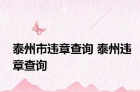 泰州市违章查询 泰州违章查询 
