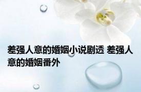 差强人意的婚姻小说剧透 差强人意的婚姻番外 
