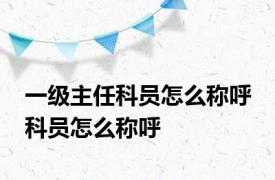一级主任科员怎么称呼 科员怎么称呼