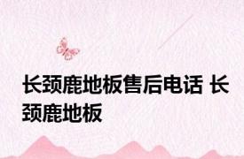 长颈鹿地板售后电话 长颈鹿地板 