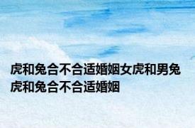 虎和兔合不合适婚姻女虎和男兔 虎和兔合不合适婚姻 
