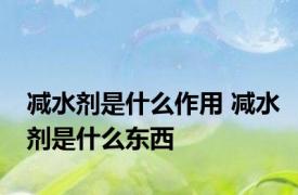 减水剂是什么作用 减水剂是什么东西