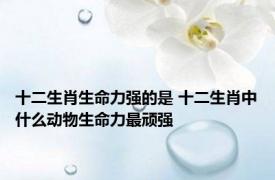 十二生肖生命力强的是 十二生肖中什么动物生命力最顽强