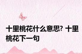 十里桃花什么意思? 十里桃花下一句 