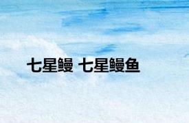 七星鳗 七星鳗鱼 