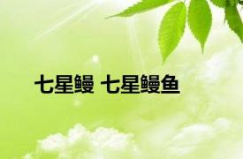 七星鳗 七星鳗鱼 