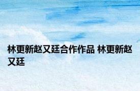 林更新赵又廷合作作品 林更新赵又廷 