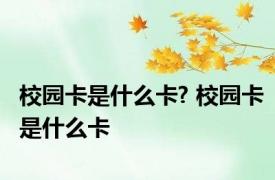 校园卡是什么卡? 校园卡是什么卡