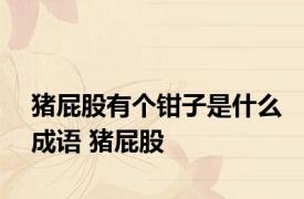 猪屁股有个钳子是什么成语 猪屁股 