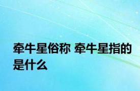牵牛星俗称 牵牛星指的是什么