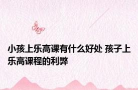 小孩上乐高课有什么好处 孩子上乐高课程的利弊 