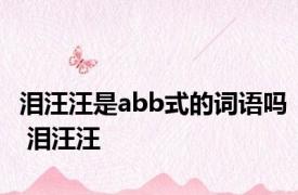 泪汪汪是abb式的词语吗 泪汪汪 