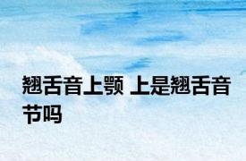 翘舌音上颚 上是翘舌音节吗 