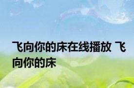 飞向你的床在线播放 飞向你的床 