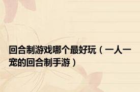 回合制游戏哪个最好玩（一人一宠的回合制手游）