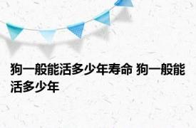 狗一般能活多少年寿命 狗一般能活多少年 