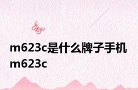 m623c是什么牌子手机 m623c 
