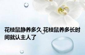 花枝鼠静养多久 花枝鼠养多长时间就认主人了