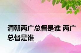 清朝两广总督是谁 两广总督是谁 