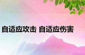 自适应攻击 自适应伤害 