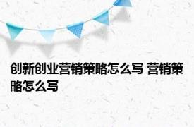 创新创业营销策略怎么写 营销策略怎么写 