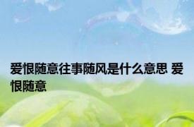 爱恨随意往事随风是什么意思 爱恨随意 