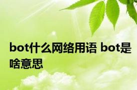 bot什么网络用语 bot是啥意思
