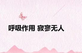 呼吸作用 寂寥无人 