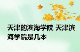 天津的滨海学院 天津滨海学院是几本