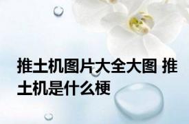 推土机图片大全大图 推土机是什么梗