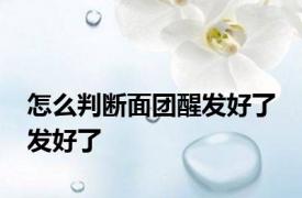 怎么判断面团醒发好了 发好了 