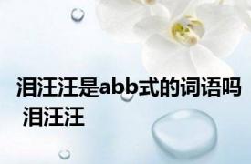 泪汪汪是abb式的词语吗 泪汪汪 