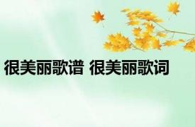 很美丽歌谱 很美丽歌词 