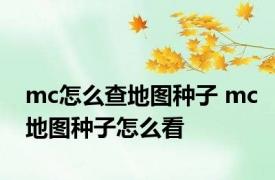 mc怎么查地图种子 mc地图种子怎么看 