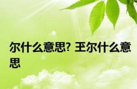 尔什么意思? 玊尔什么意思 