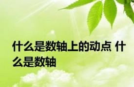 什么是数轴上的动点 什么是数轴 