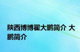陕西博博翟大鹏简介 大鹏简介 