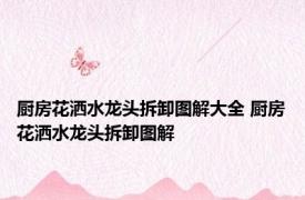 厨房花洒水龙头拆卸图解大全 厨房花洒水龙头拆卸图解 