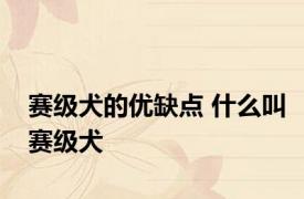 赛级犬的优缺点 什么叫赛级犬