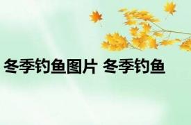 冬季钓鱼图片 冬季钓鱼 