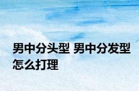 男中分头型 男中分发型怎么打理