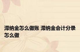 滞纳金怎么做账 滞纳金会计分录怎么做