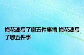 梅花魂写了哪五件事情 梅花魂写了哪五件事 