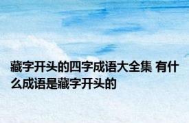 藏字开头的四字成语大全集 有什么成语是藏字开头的