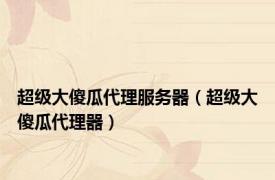 超级大傻瓜代理服务器（超级大傻瓜代理器）