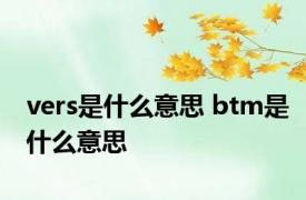 vers是什么意思 btm是什么意思