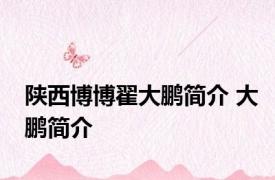 陕西博博翟大鹏简介 大鹏简介 