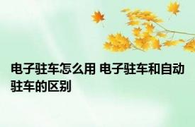 电子驻车怎么用 电子驻车和自动驻车的区别 